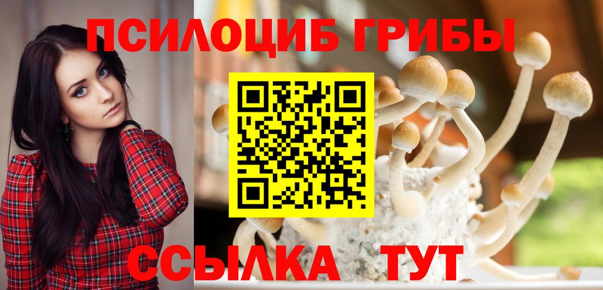 Галлюциногенные грибы Magic Shrooms Краснокамск