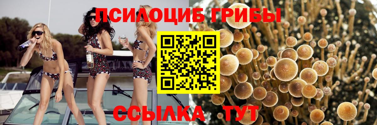 Псилоцибиновые грибы ЛСД  Вход с VPN  Краснокамск 